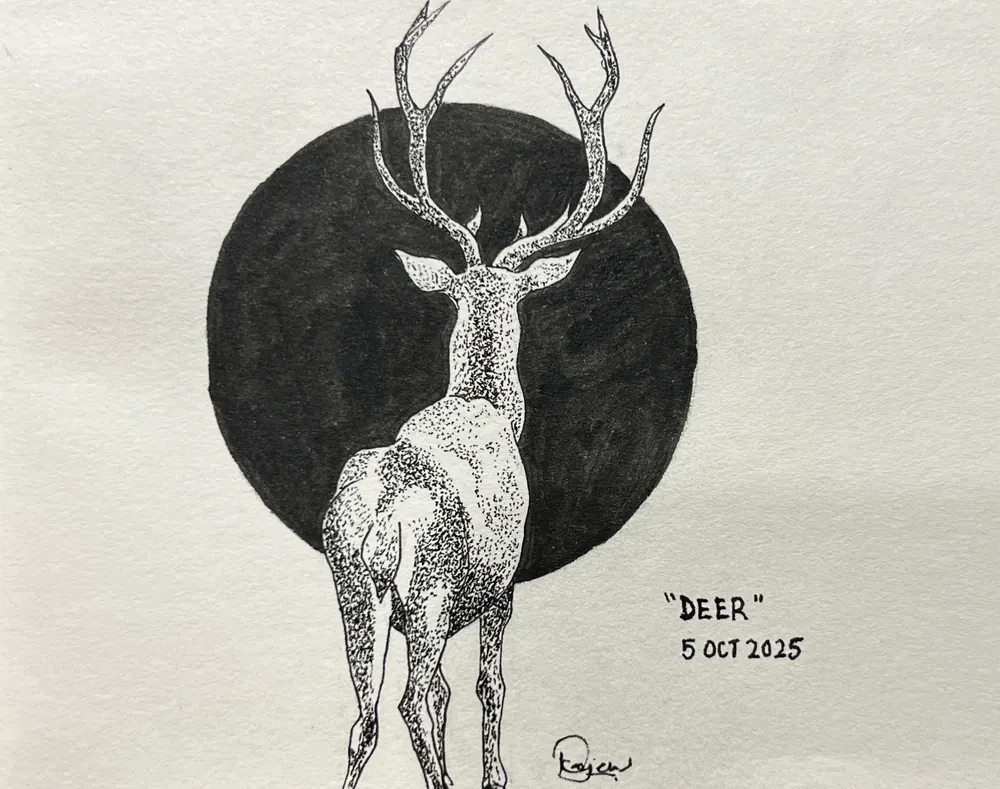 Deer
