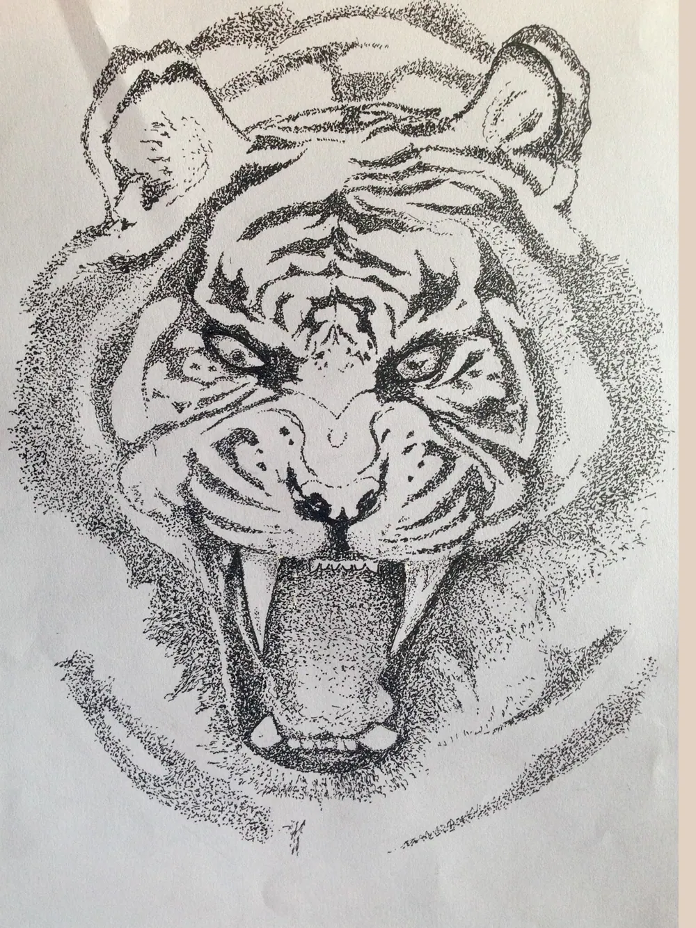 The same tiger drawn only in Micron pen dots and lines: snarling face, open mouth, whiskers, no colour.